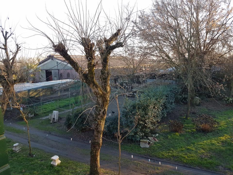 Agriturismo Villa Mocenigo Mirano Exterior foto